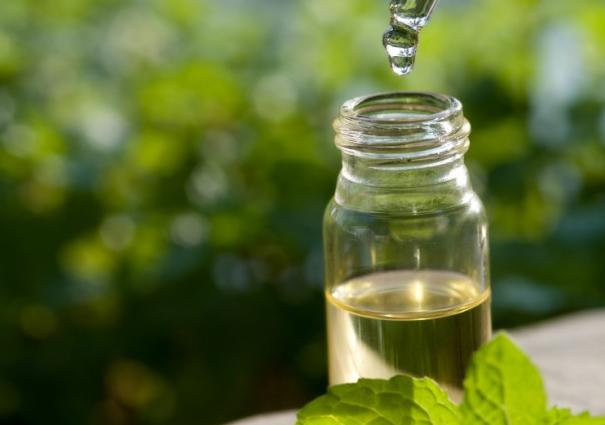 minyak pohon teh meyembuhkan gatal